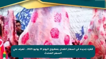 قفزة جديدة في أسعار الضأن بمطروح اليوم 31 يوليو 2025.. تعرف على السعر المحدث